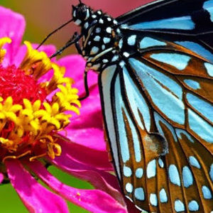 Meet your Posher, Edith